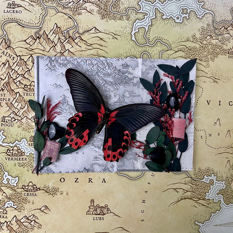 Scarlet Mormon Butterfly in 5 x 7 Inch Black Frame