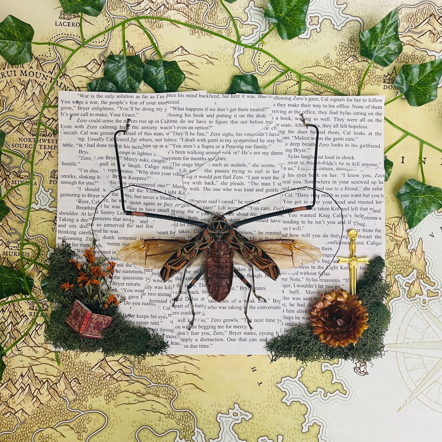 Harlequin Longhorn Beetle in 8 x 10 Inch Brown Wood Frame