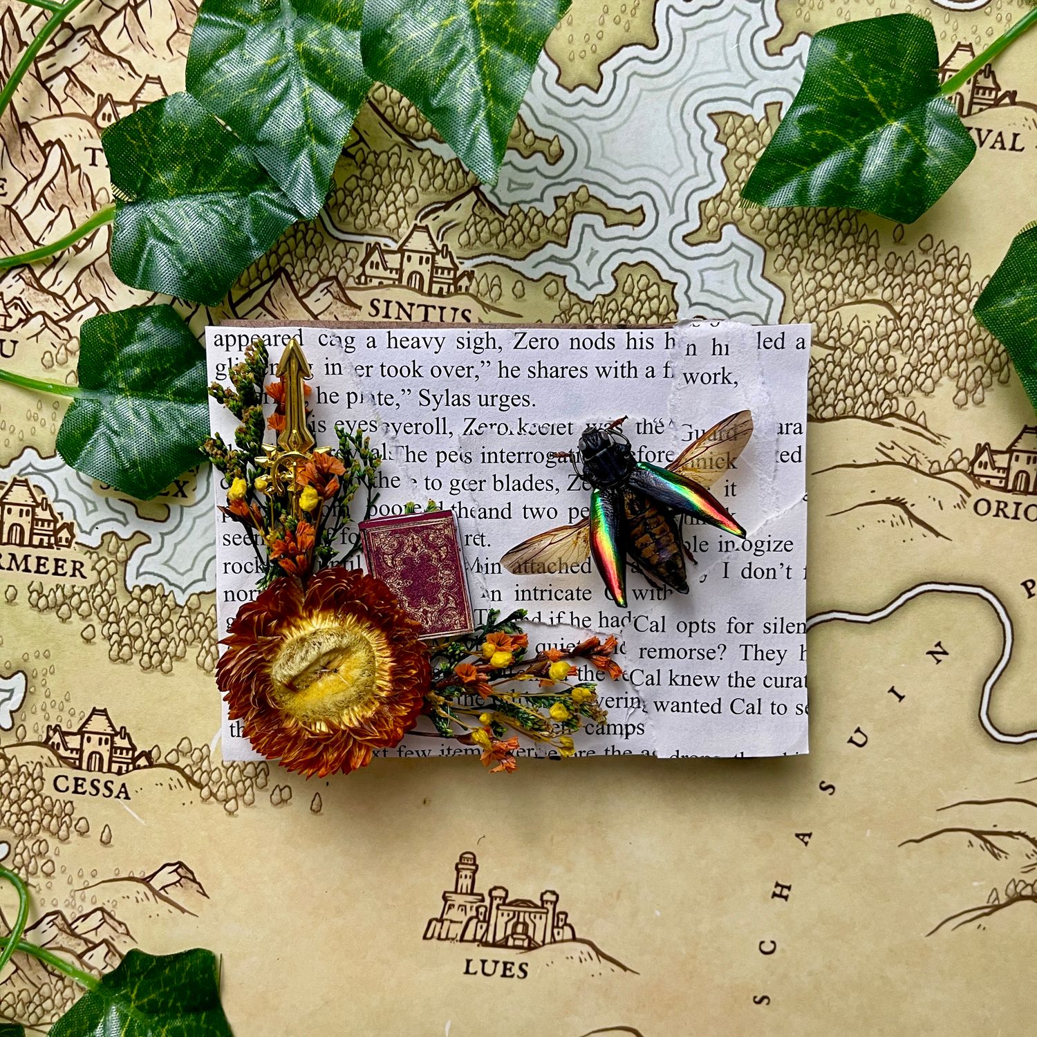 Rainbow Jewel Beetle in 3 X 4 Inch Black Frame