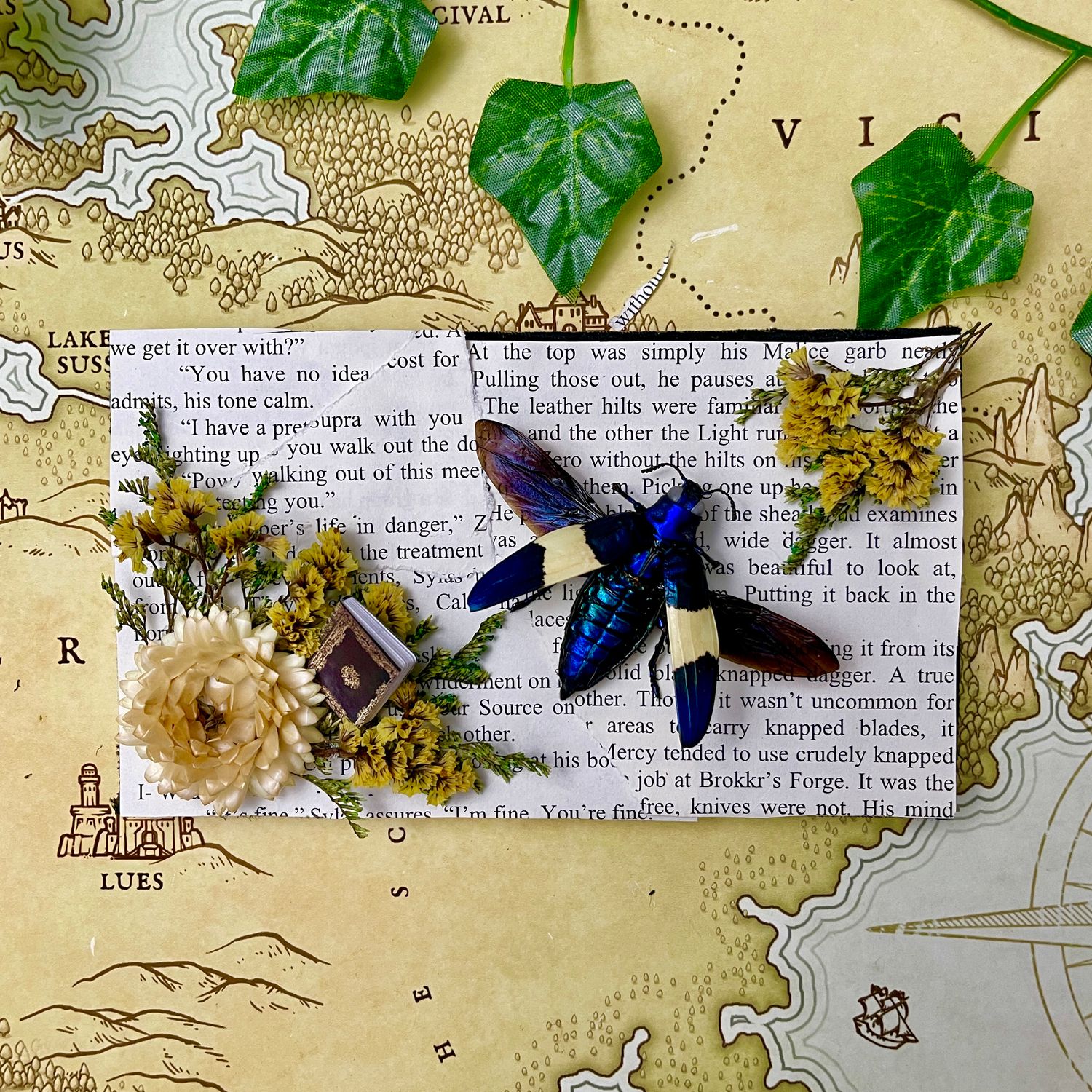 Blue &amp; Yellow Jewel Beetle in 5 x 7 Inch Black Frame