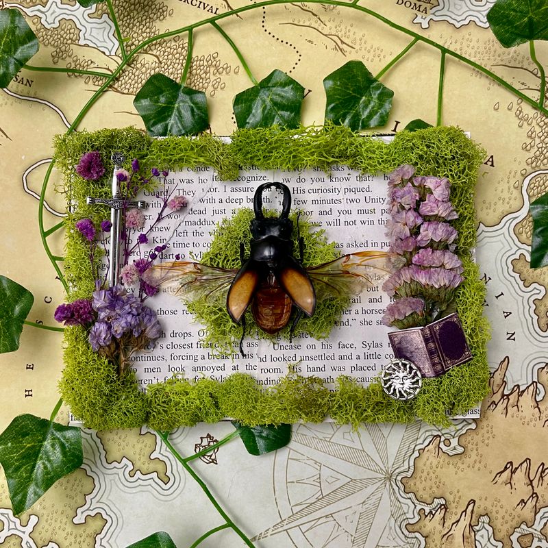 Stag Beetle in 5 x 7 Inch Black Frame (Slight Damage to Legs)