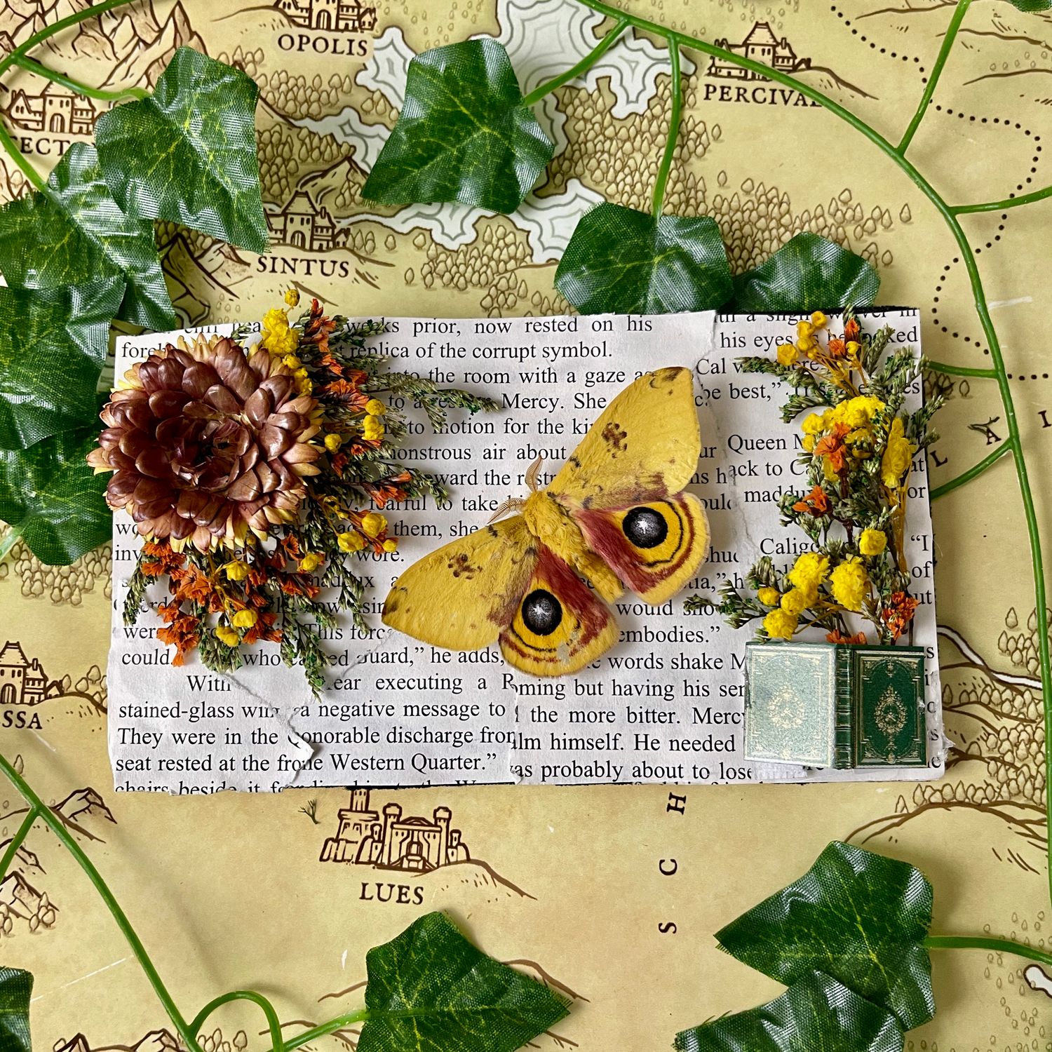 Io Moth in 4 x 7 Inch Silver Frame