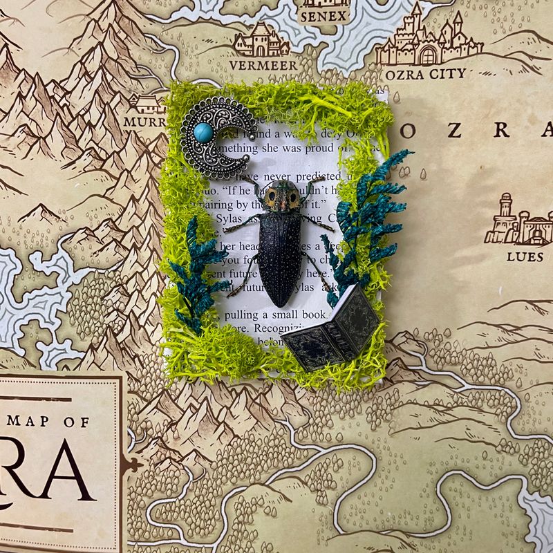 False Eyed Jewel Beetle in 3 X 4 Inch Silver Frame