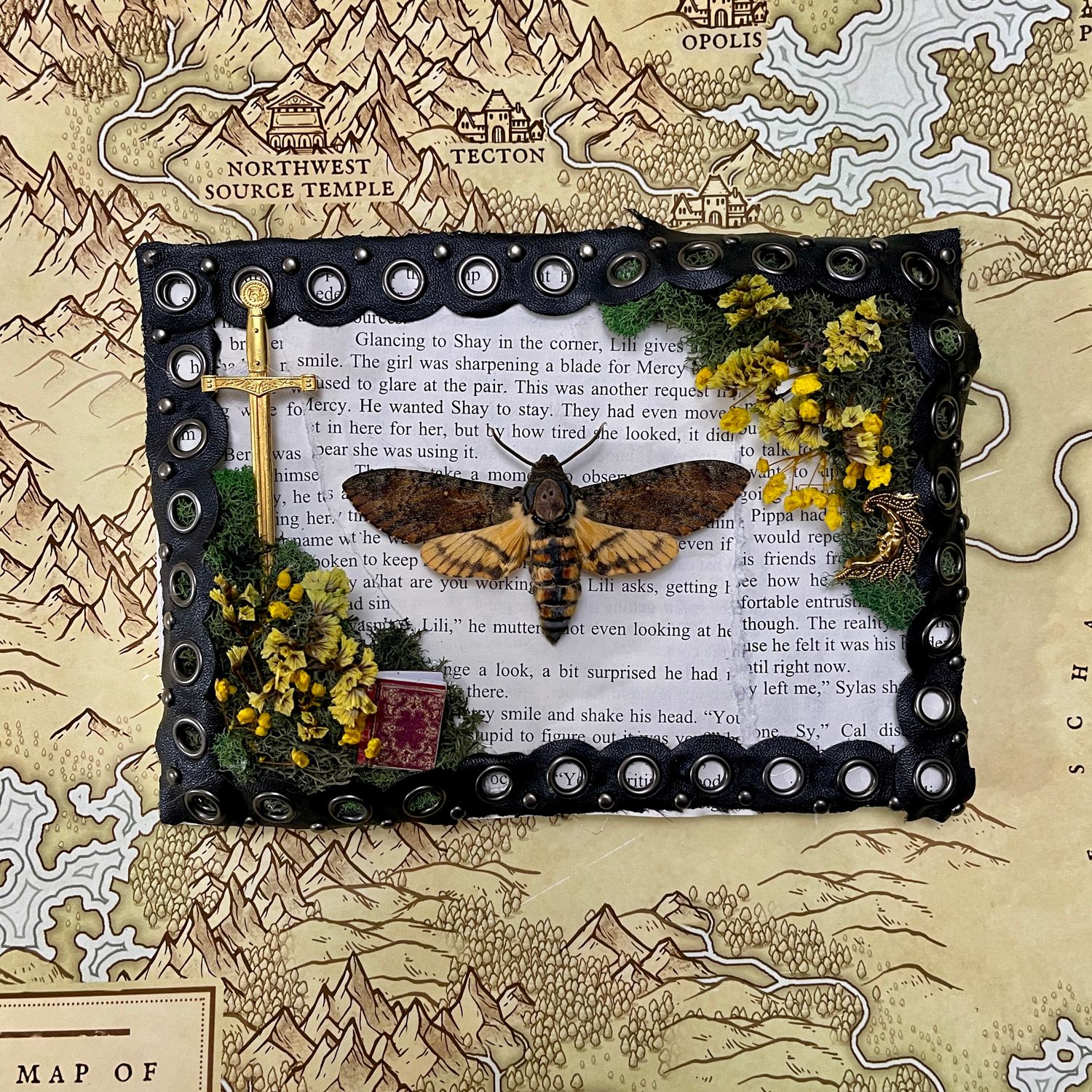 Death Head Moth in 5 x 7 Inch Black Frame