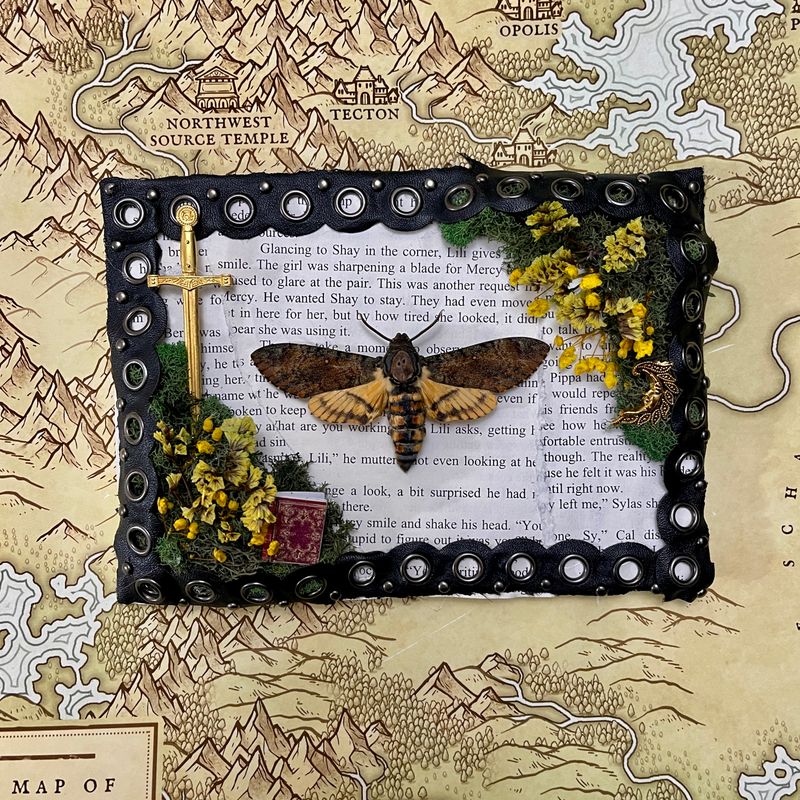 Death Head Moth in 5 x 7 Inch Black Frame