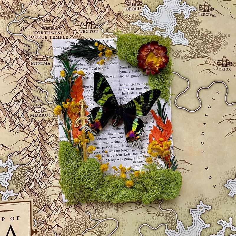 Madagascar Sunset Moth in 5 x 7 Inch Black Frame