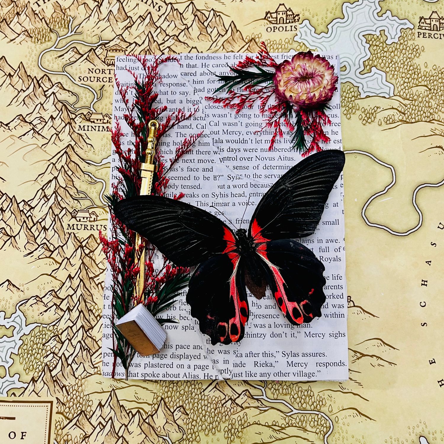 Scarlet Mormon Butterfly #2 in 5 x 7 Inch Black Frame