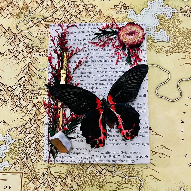 Scarlet Mormon Butterfly #2 in 5 x 7 Inch Black Frame
