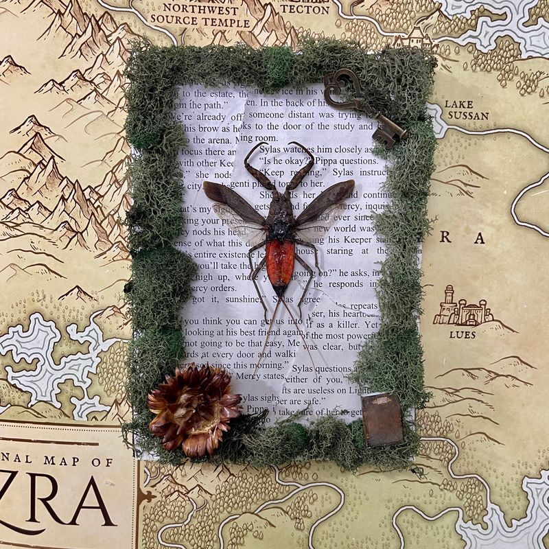 Red Toe Biter Giant Waterbug in 5 x 7 Inch Wooden Frame