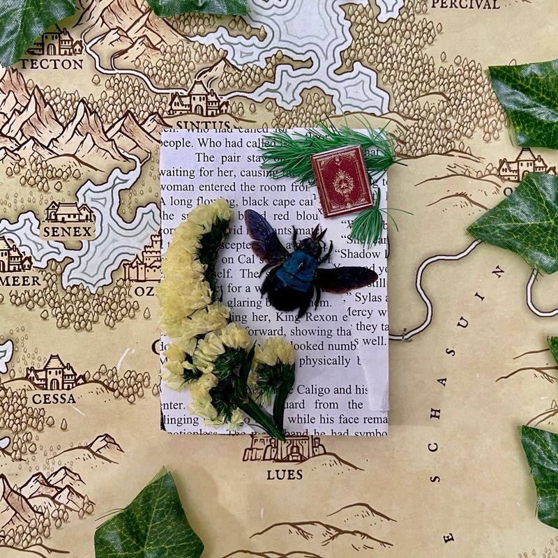 Blue Carpenter Bee in 3 X 4 Inch Black Frame