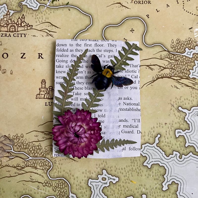 Yellow Carpenter Bee in 3 X 4 Inch Gold Frame