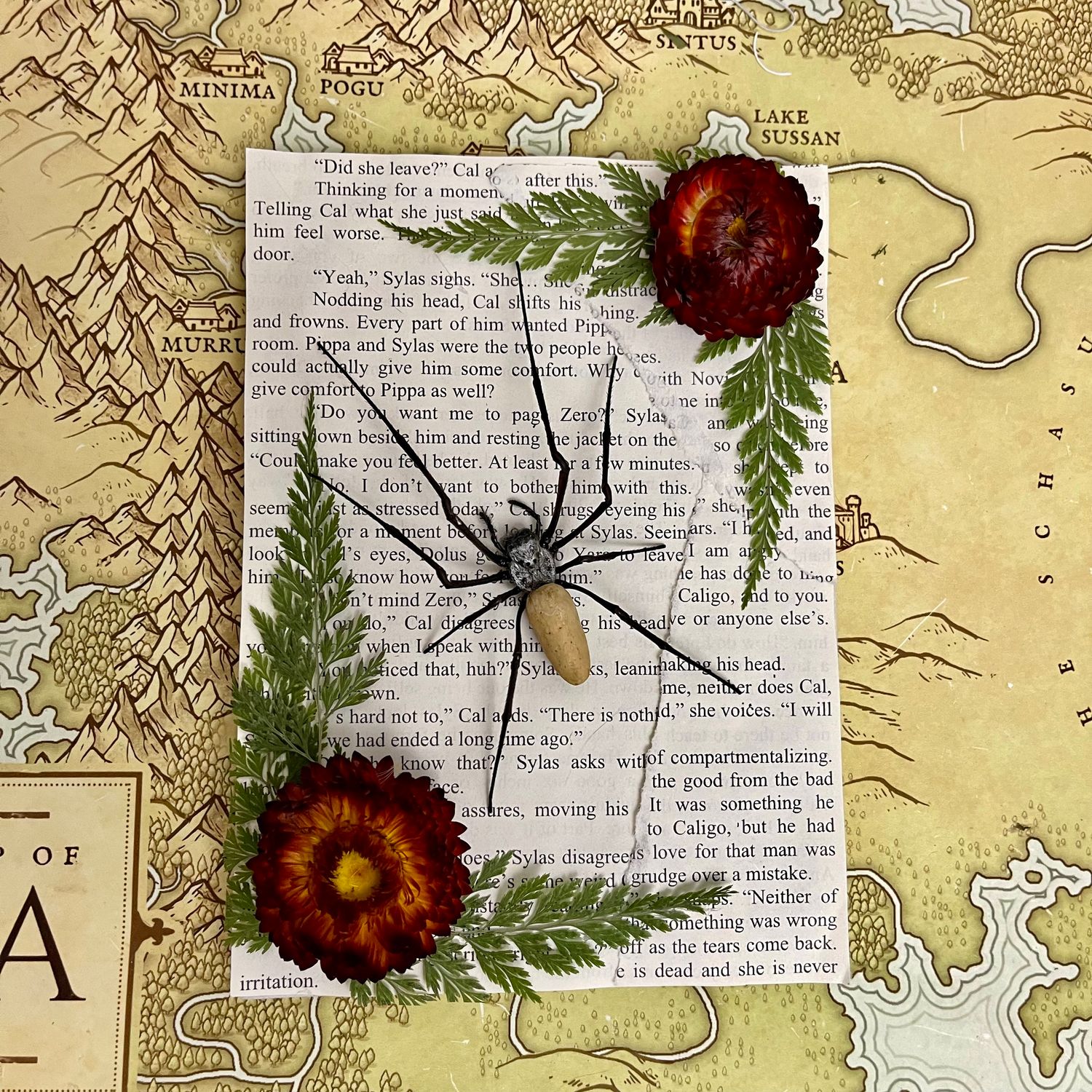 Golden Silk Orb Weaver in 5 x 7 Inch Gold Frame