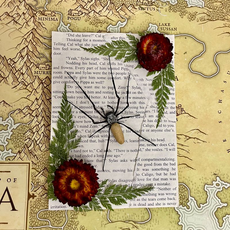 Golden Silk Orb Weaver in 5 x 7 Inch Gold Frame