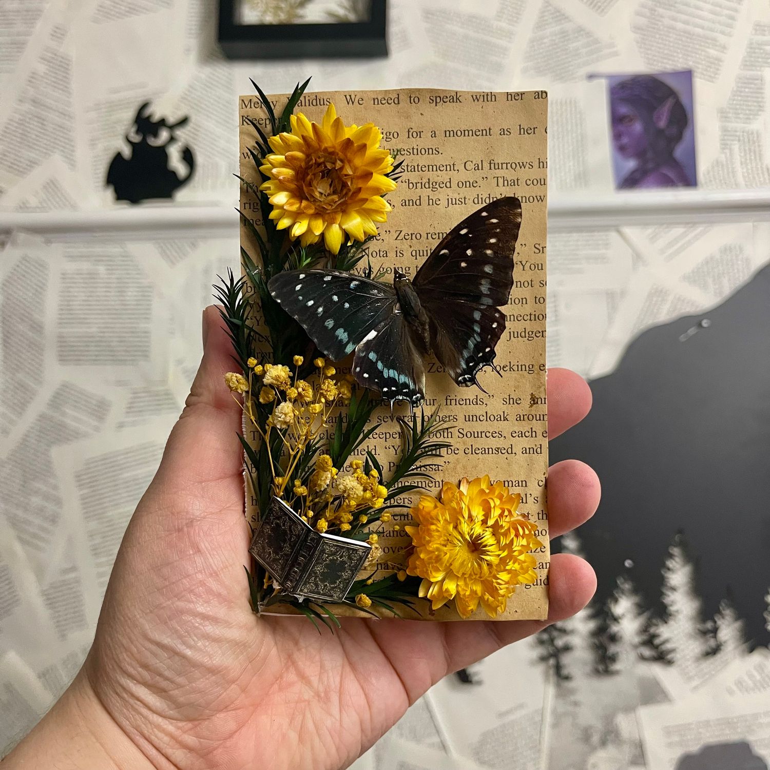 Savannah Charaxes with Book Body in 4 x 7 Inch Silver Frame
