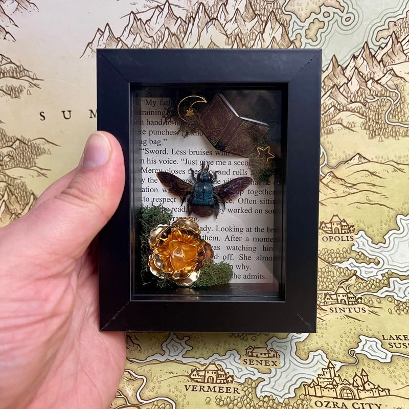 Blue Carpenter Bee in 3 X 4 Inch Black Frame