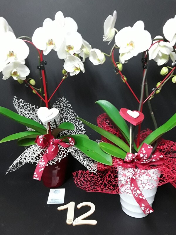 Corazon de Orquidea
