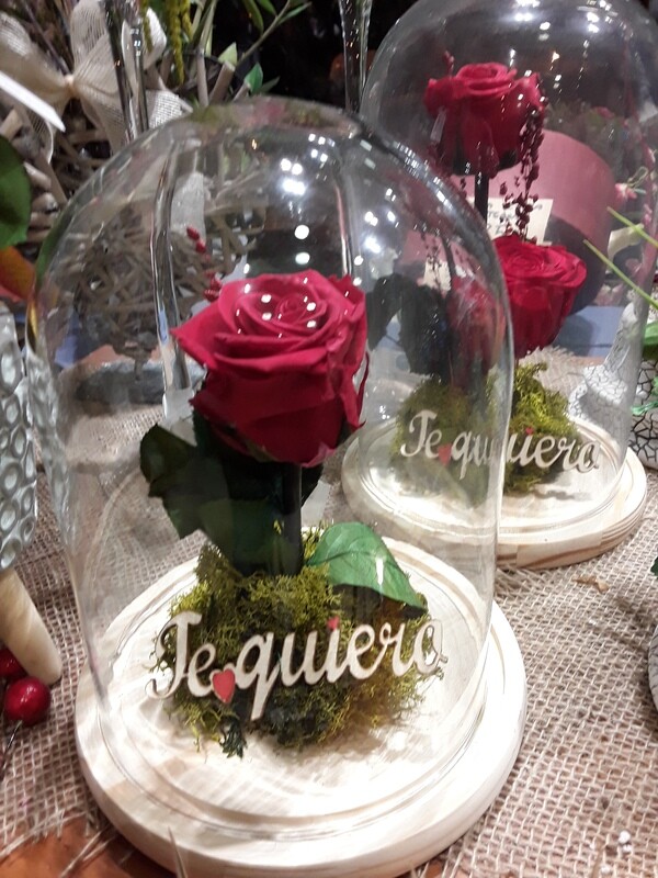 Cúpula con rosa eterna Cúpula con rosa eterna