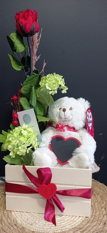 Peluche eterno! Peluche eterno!