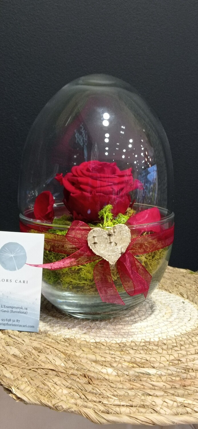 Terrario con rosa eterna