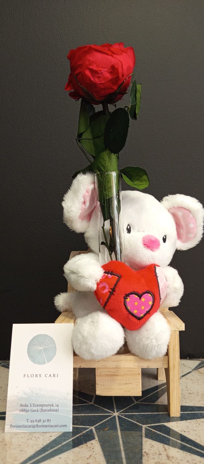 VALENTINO!!el osito romantico