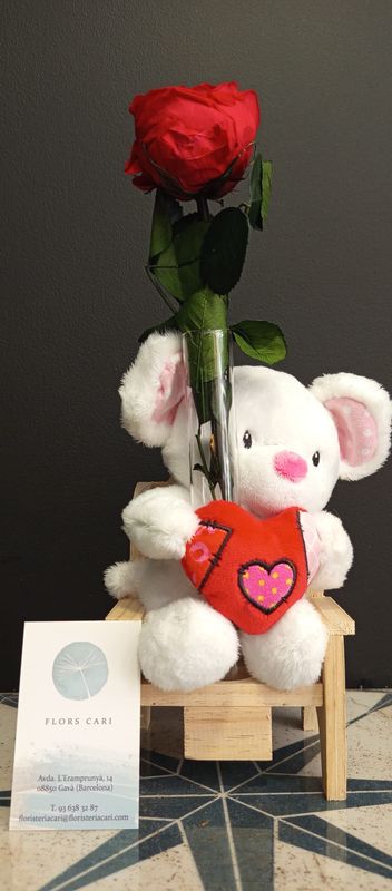 VALENTINO!!el osito romantico