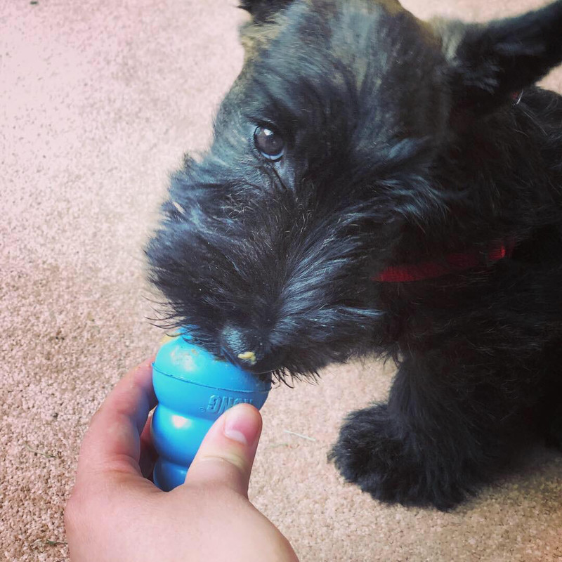 Pet Nut Butter Liver
