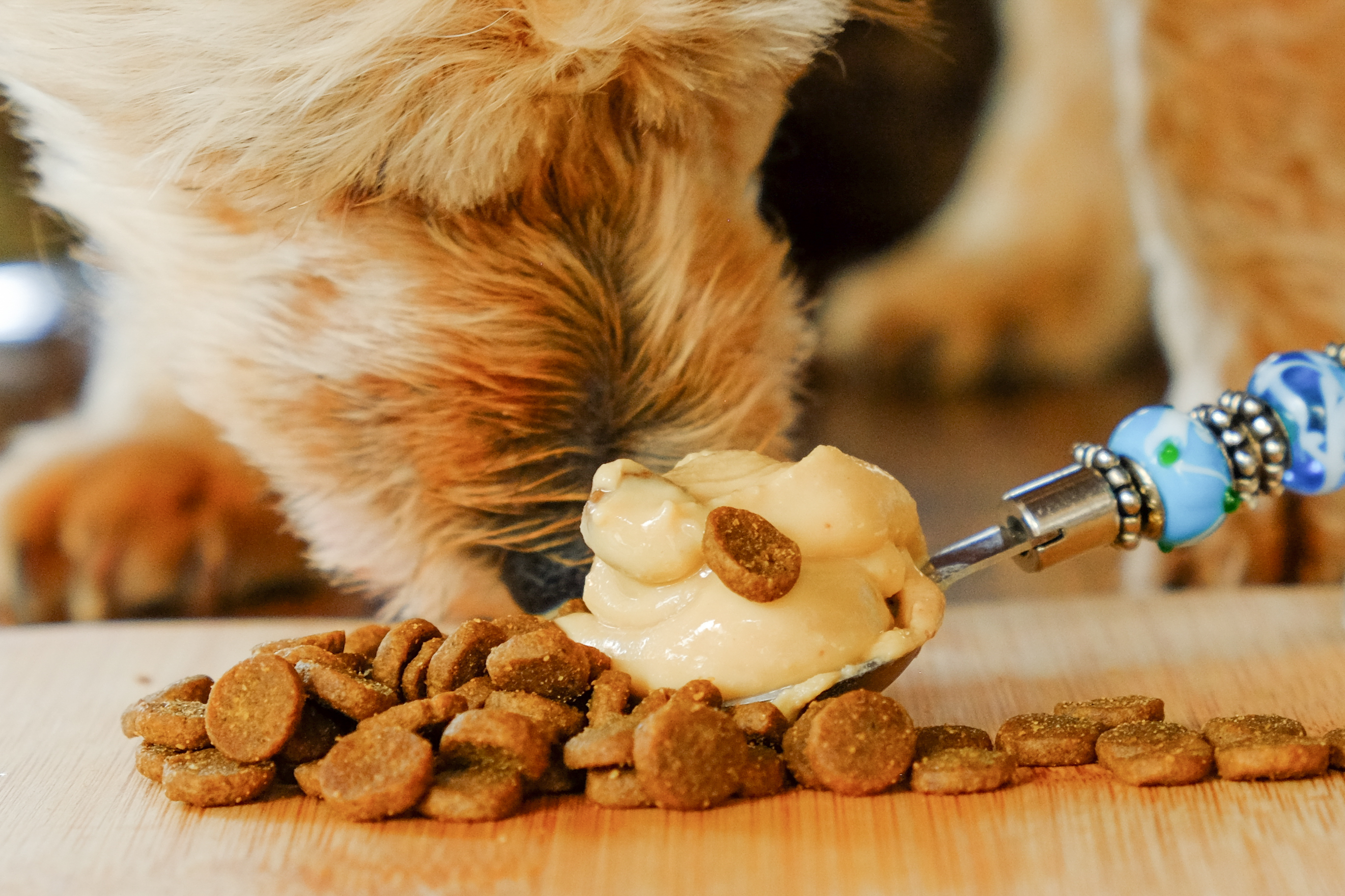 Pet Nut Butter Puppy Treat