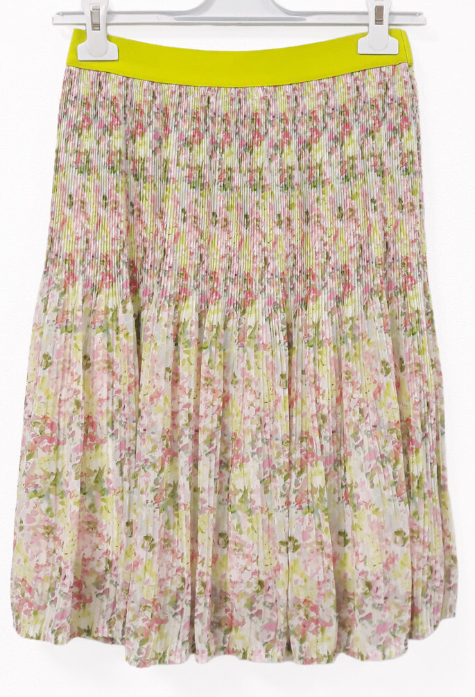Paul Brial: Spring Is In The Air Pleated Art Midi Skirt