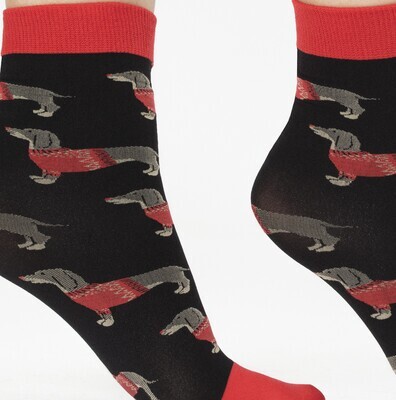 Fiore: Dandy Dachshund Pup 40 Denier Socks