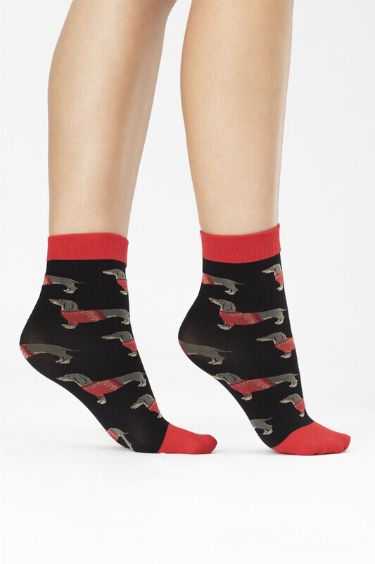 Fiore: Dandy Dachshund Pup 40 Denier Socks