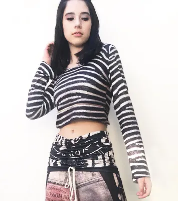 IPNG: Label Longings Zebra Crop Top