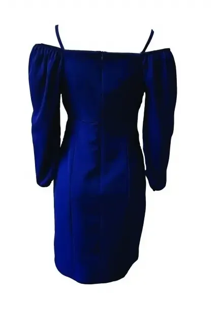 Paul Brial: Sweetheart Puff Sleeve Blue Crepe Dress