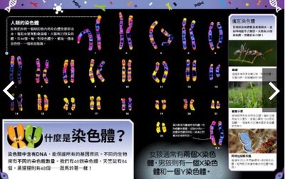 【大石文化】我知道!這就是DNA