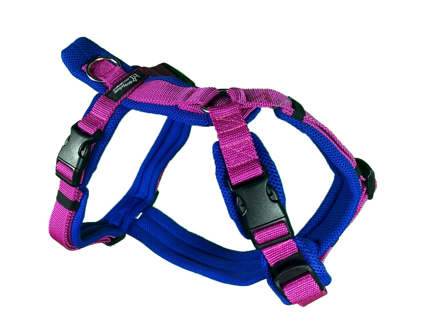Easy blau-pink