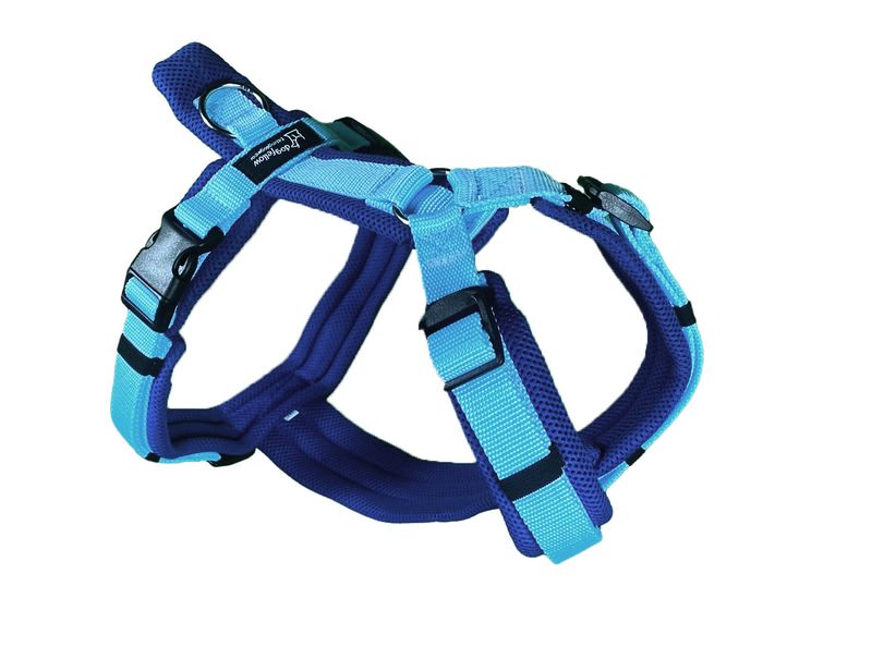 Happy blau/babyblau
