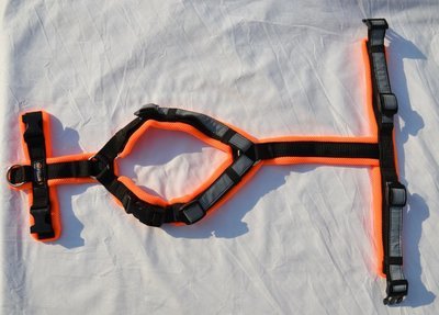 Secure Happy neonorange-schwarz L/XL
