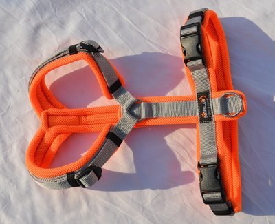 Secure Happy neonorange-silber XS/S