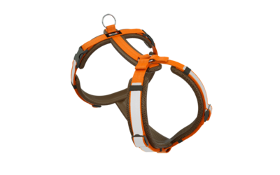Secure Happy braun-orange XS