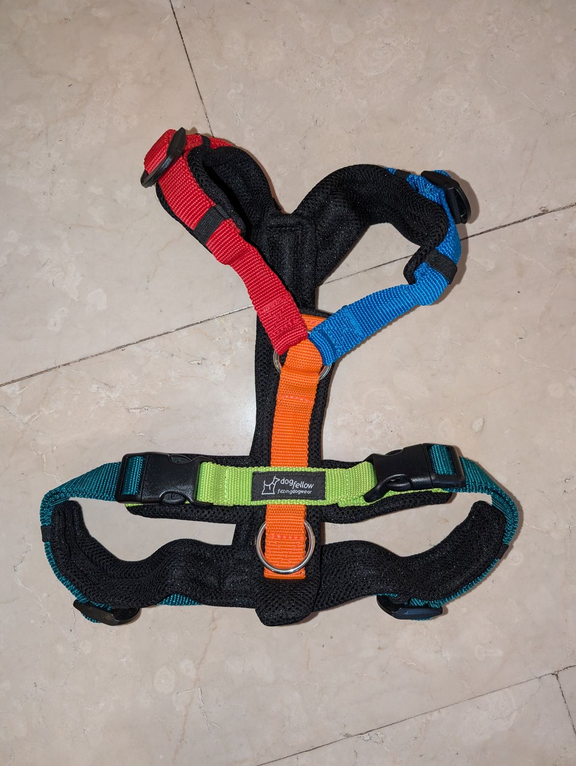 Pride Collection Happy schwarz/bunt S/M 25mm