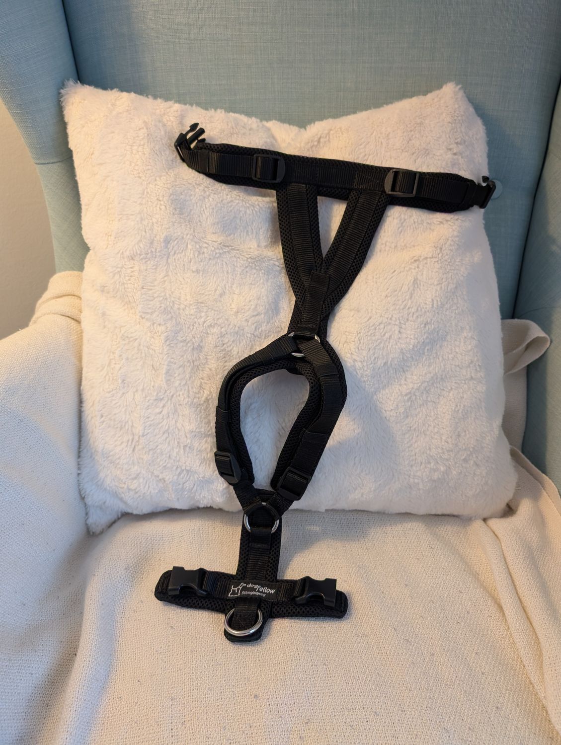 Happy mit geteiltem Bauchsteg schwarz/schwarz XS/S