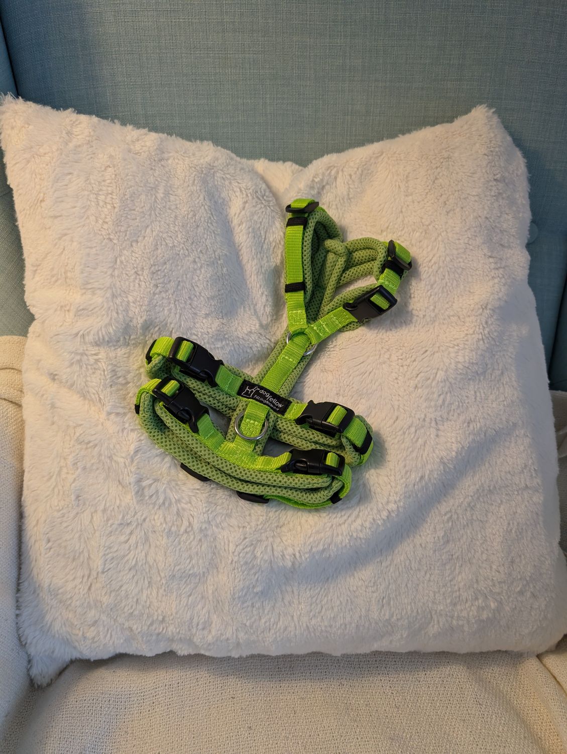 Sicherheitsgeschirr "No Escape" Easy kiwi/pistazie 2XS