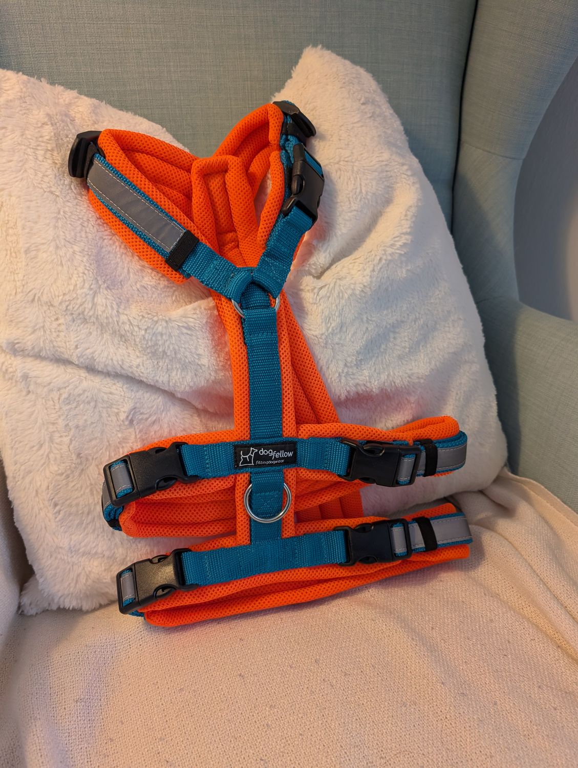 Sicherheitsgeschirr "No Escape" Secure Easy neonorange/petrol M