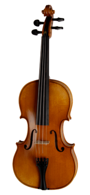 Paesold PA802E Violin Outfit
