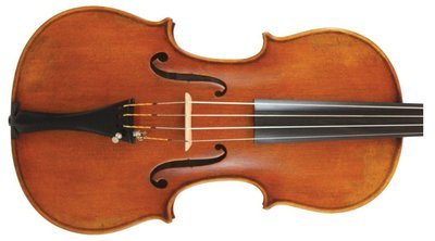 Young Master (European Spruce) Viola