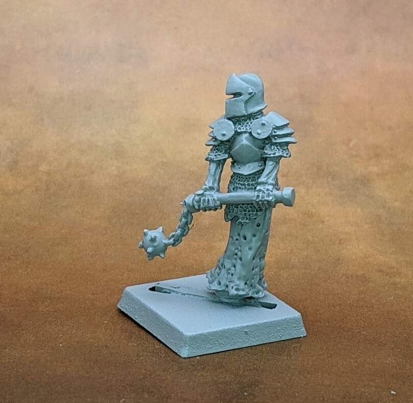 Crypt Wights (5)