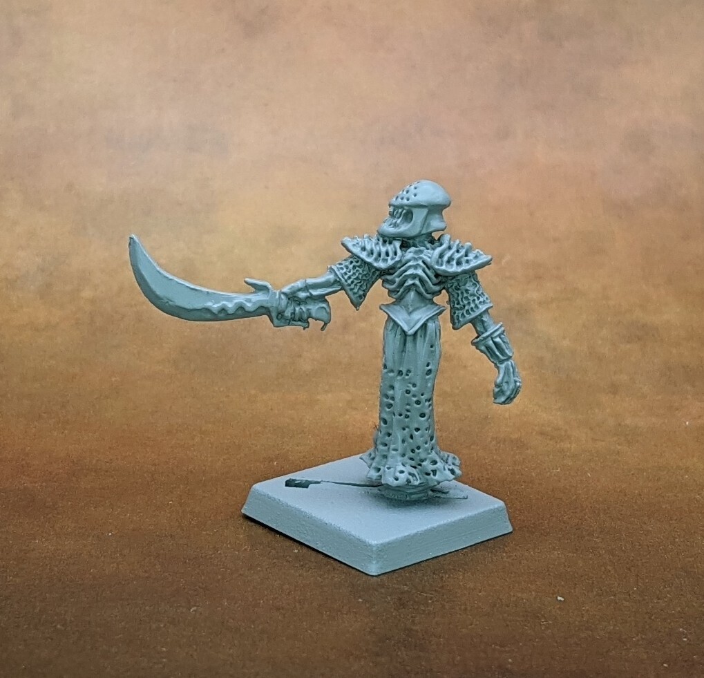 Crypt Wights (5)