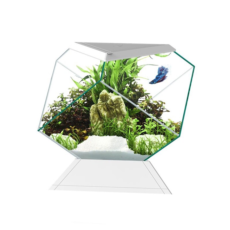 Akvarium Nexus Bettalife vitt Ciano