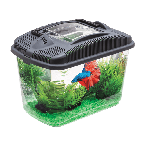 3l Akvarium för kampfisk