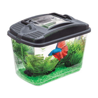 3l Akvarium för kampfisk