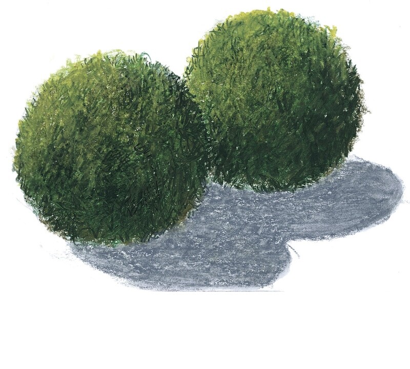 Mossboll S